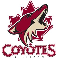 Alliston Coyotes 2013-Pres Primary Logo iron on transfers for clothing